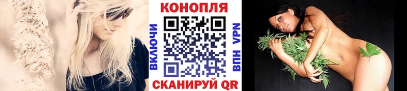 Канабис SATIVA & INDICA  Талица 
